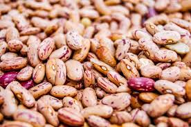 Provided the meat has been cooked through and has no seasonings or rubs containing. Can Dogs Eat Beans Holy Frijoles Can Dogs Eat Bananas