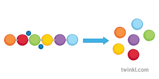 Protease supplements can be taken in between meals in addition to digestive enzymes with meals. Protease Breaking Down Protein Science Diagram Enzymes Digestion Secondary