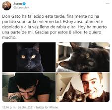 Auronplay es el número uno en twitch. Kews6xwue1ri M