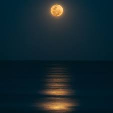 Sevgilim beni̇ sevdi̇ği̇ni̇ söylemi̇şsi̇n yuhyuhyu. Moonlight Filv Polarrana Remix Skachat Mp3
