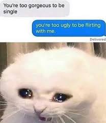 Pin On Cat Lovers From Instagram