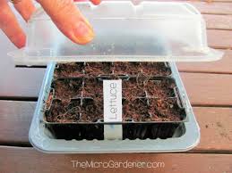 Today's top mckenzie seeds promotion: Can You Sow Out Of Date Seeds The Micro Gardener