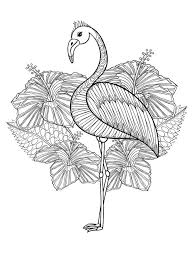 Well, then why don't you give him a few animal coloring sheets to engage him?animal coloring sheets are a great way to engage your child's interest in animals from an early age. Pin On Colorear Adultos