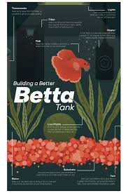 Pin On Fishkeeping Aquarium Planted Tank And Fish