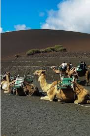 With tilen lapajne, masa derganc, borut veselko, amalia felicijan. Lanzarote Sehenswurdigkeiten Und Tipps Fur Deinen Urlaub Auf Der Kanarischen Insel Falubeli Der Reiseblog Fur Mutige Angsthasen Lanzarote Kanarische Inseln Europa Reisen