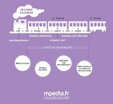 Tout savoir, point par point, sur son développement, son éveil, son alimentation et sa santé. Comprendre Les Cycles Du Sommeil De Votre Bebe Mpedia Fr
