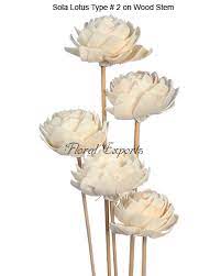 On this page you will find 4 coupon codes that will help you save. Sola Flowers Bulk Manufacturer Wholesale Supplier For Diy Weddings