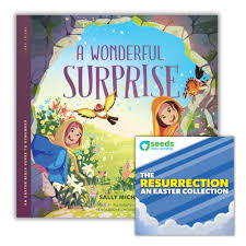 A Wonderful Surprise by Sally Michael