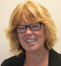 District 11 State Senate candidate Lee Ann Stephenson intends to stow away  party politics and get things done