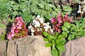 Garten randsteine setzen ohne beton das wird dich inspirieren. Beet Randsteine Setzen Warum Und Wie Macht Man Das
