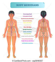 Body Meridian System Vector Illustration Scheme Chinese Energy Acupuncture Therapy Diagram Chart