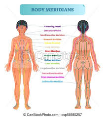 body meridian system vector illustration scheme chinese energy acupuncture therapy diagram chart