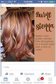 Supercuts has a conveniently located hair salon at tinley downs shopping center in tinley park, il. Salon Salon Too A Salon J Design Hair Salon Tinley Park Illinois Facebook 1 Photo