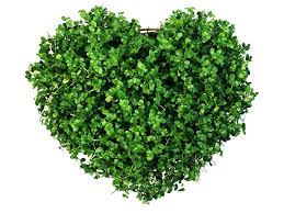 Green Heart Simple Green Green Go Green