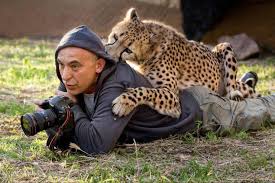 Wow This Photographer Must Be Nervous Wildcat Leopard Photographer Really Funny Pictures Pictures Wild Cats