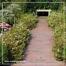 Sichtachsen Im Garten In 2020 Garten Privatgarten Traumgarten