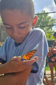 Mangal completa 20 anos e convida público para comemorar durante  programação especial neste domingo, 12