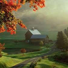 Pe o suprafață de 2.000 de. Top 6 Afaceri Profitabile Cu Ferme In Romania