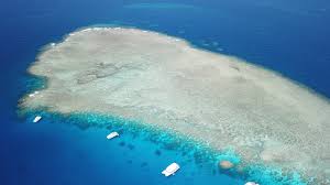 The great barrier reef is one of the most iconic areas in our ocean. Das Great Barrier Reef Alle Wissenswerten Infos Auf Einen Blick