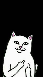 Gambar Terkait Ripndip Wallpaper Cat Illustration Cute Wallpapers