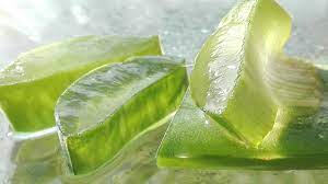 Extract the pulp of a aloe vera leaf and mix it with two tablespoons of honey and three teaspoons of olive oil. How To Use Aloe Vera Gel For Hair Growth Information News