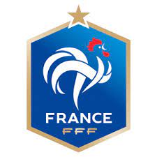 Onun yanı sıra ülkelere mahsus logo paketleri,yüz paketleri. France Logo 512x512 Url Dream League Soccer Kits And Logos