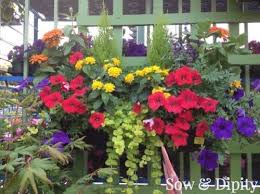 9+ prefab small house idea photos. 10 Window Box Planter Ideas