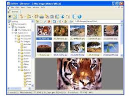 Xnview mp/classic is a free image viewer to easily open and edit your photo file. Xnview Graphic And Photo Viewer What Digital Camera