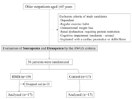 Effect Of Hydroxy Methylbutyrate Hmb On Muscle