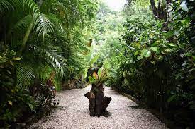 Participation in the pachamama work exchange program entails a responsibility and commitment to adhere to the community's ecological guidelines and support its efforts at sustainability. Pachamama Lodge Mal Pais Updated 2021 Prices