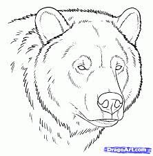 Pin On Bear Drawings