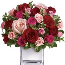 We did not find results for: Valentine S Day Flowers Delivery Annapolis Flowers By Donna