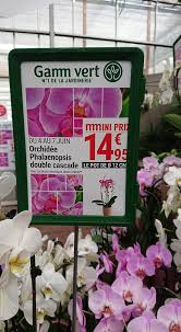 Read about their experiences and share your own! Pour Les Mamans Promo Orchidee Cascade Gamm Vert Aizenay Facebook