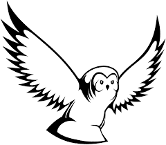 Kalau kamu sukanya burung apa? Download Gambar Burung Hantu Hitam Putih Full Size Png Image Pngkit