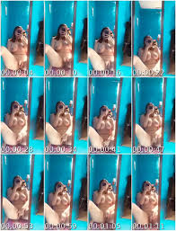 Bokep Indo Abg Bugil Colmek Pake 2 Jari - AsianPinay