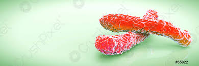 Mise à jour de la fiche 09/2011. Vue Microscopique De La Bacterie De La Legionellose Stock Photo Crushpixel