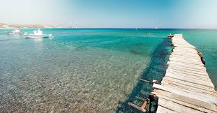 Club cactus fleur beach, yalıkavak palmarina'ya 3 km, bodrum havalimanı'na ise 45 km mesafede konumlanıyor. Kardamena Holidays 2021 2022 Thomas Cook