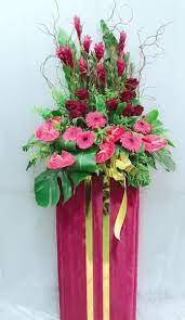 Grand Opening Flowers Ginger Flower Flower Stands Anthurium Flower