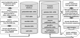 Pkss offers a range of security services including: Mapsidb An Integrated Web Database For Type I Polyketide Synthases Springerlink