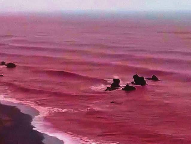 Blood-Red' Waters in the Persian Gulf Spark End-Times Questions—and a Call  for Discernment