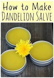 How To Make And Use Dandelion Salve Recipe Salve Recipes Dandelion Recipes Herbalism