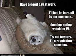 Have A Good Day Funny Memes