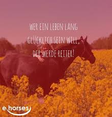 Www Ehorses De Ehorses Official Pferde Zitate Pferdespruche Reit Zitate