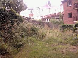 Vibrant, ly sized one bedroom apartment unfurnished ground floor split level 2 bedroom flat with private rear garden in the heart of crystal palace. Garden As Catalyst The Story Of Crystal Palace Transition Town S Prize Winning Garden Transition Culture
