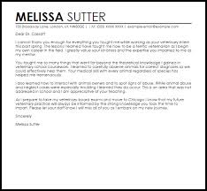 Thank You Internship Letter Example Letter Samples Templates