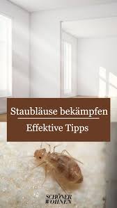 Staublause Bekampfen So Geht S In 2020 Schadlinge Im Haus Ungeziefer Im Haus Ungeziefer