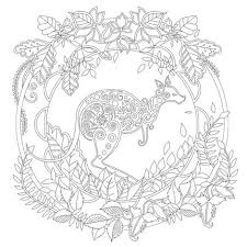 Elf Orman Yetiskin Boyama Kitabi Gizli Bahce Boyama Kitabi Stil Stres Rahatlatmak Oldur Zaman Antistres Boyama Boyama Kitaplari Siparis Ofis Ve Okul Malzemeleri F Dilek Dualari Com