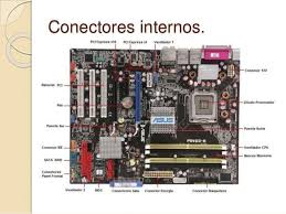 Imagen Relacionada Conectores Placa Base Placas