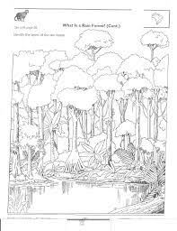 15% off with code sunnysavingz. Kindergarten Worksheets Rainforest Animals Coloring Pages