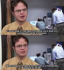 Samuel, you are such an idiot. 130 Exclusive Dwight Schrute Quotes That Get You Bayart